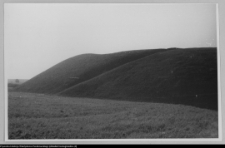 Mały Płock, grodzisko