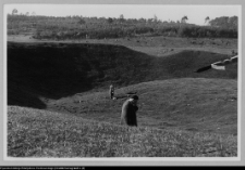Mały Płock, grodzisko