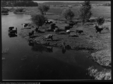 Tykocin, rzeka Narew