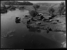 Tykocin, rzeka Narew
