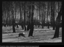Hajn&oacute;wka, fabryka terpentyny &bdquo;Terebenthen&rdquo;