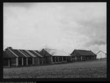 Płonka Kościelna, stodoły od strony wjazdu z Łap