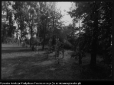 Kapliczki i krzyże wotywne