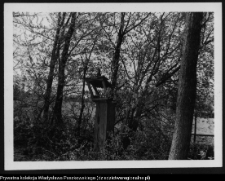 Kapliczki i krzyże wotywne