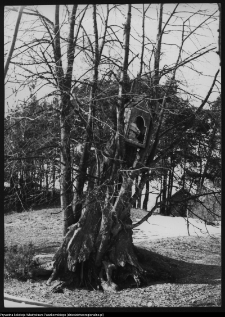 Kapliczki i krzyże wotywne