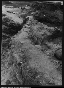 Tykocin, ruiny zamku