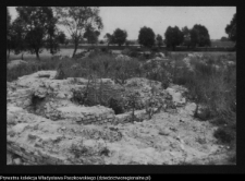 Tykocin, ruiny zamku