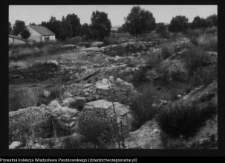 Tykocin, ruiny zamku