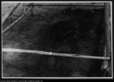 Szwajcaria pod Suwałkami, gr&oacute;b księcia w rozkopanym kurhanie