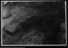 Szwajcaria pod Suwałkami, gr&oacute;b księcia w rozkopanym kurhanie