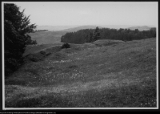 Szurpiły, grodzisko