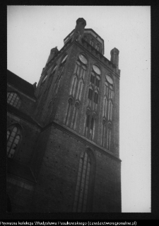 Stargard, kolegiata NMP Kr&oacute;lowej Świata