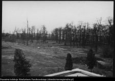 Białystok, odbudowa Pałacu Branickich