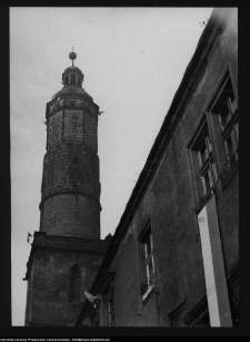 Lw&oacute;wek Śląski