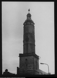 Lw&oacute;wek Śląski