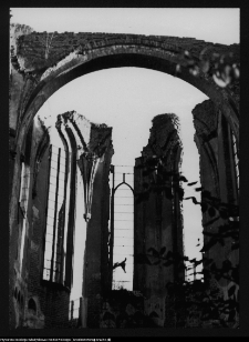 Braniewo, Bazylika św. Katarzyny Aleksandryjskiej