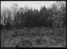 Jasion&oacute;wka, cmentarz żydowski