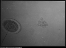 Suchowola, kości&oacute;ł