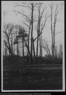 Choroszcz, park pałacowy