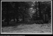 Choroszcz, park pałacowy