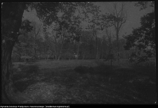 Choroszcz, park pałacowy