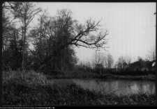 Choroszcz, park pałacowy
