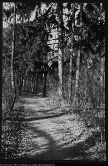 Choroszcz, park pałacowy