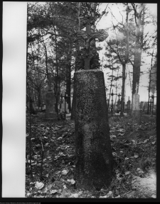 Narew, cmentarz prawosławny