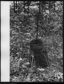 Narew, cmentarz prawosławny