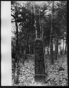 Narew, cmentarz prawosławny
