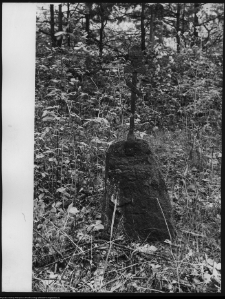 Narew, cmentarz prawosławny