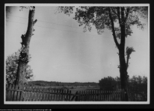 Supraśl, krajobraz nad rzeką