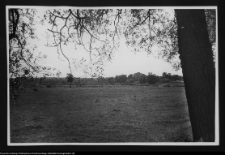 Supraśl, widok na miasto z drogi do Krynek