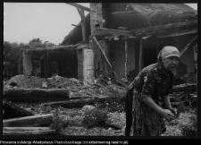 Żabiniec, dw&oacute;r