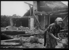 Żabiniec, dw&oacute;r