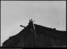 Gr&oacute;dek k/Kuczyna, chata wiejska