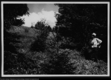 Dybowo, okolice grodziska