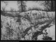 Drogoszewo, miejsce położenia dworu