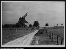 Tykocin, wiatrak poza miastem