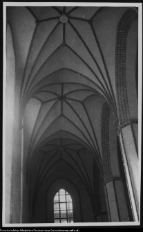 Warszawa, sklepienie Katedry św. Jana