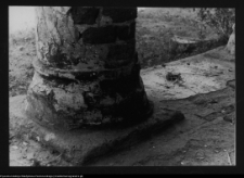 Hołny Mejera (Majera), dw&oacute;r