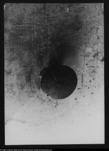 Hołny Mejera (Majera), dw&oacute;r