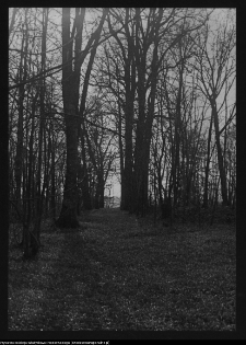 Hołny Mejera (Majera)