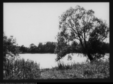 Hołny Mejera (Majera), jezioro