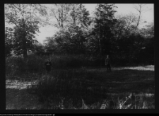 Hołny Mejera (Majera)