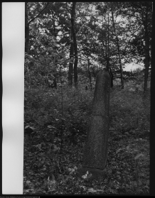 Trześcianka, cmentarz prawosławny