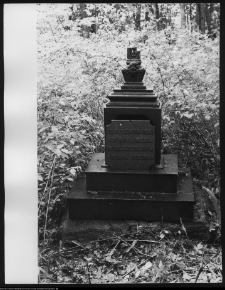 Trześcianka, cmentarz prawosławny