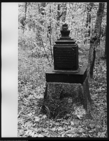 Trześcianka, cmentarz prawosławny