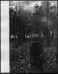 Trześcianka, cmentarz prawosławny