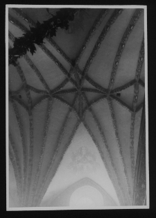 Kamionna, kości&oacute;ł pw. Narodzenia Najświętszej Marii Panny